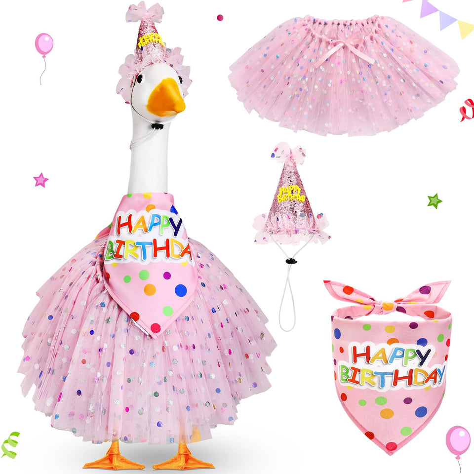 Locmeo birthday hat on lawn goose adds festive birthday charm.