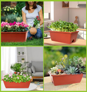 LOCONHA 7-pack provides versatile indoor and outdoor planting options