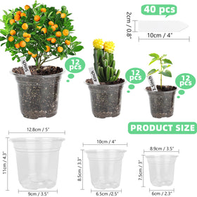 LOCONHA clear pot 4-inch ideal for seedlings and space-saving indoor planting.