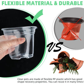 LOCONHA drainage holes promote airflow and prevent overwatering in small seedlings.