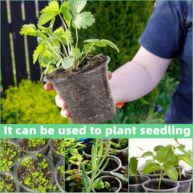 LOCONHA durable PET pots offer lasting reuse for seasons of seed starting.