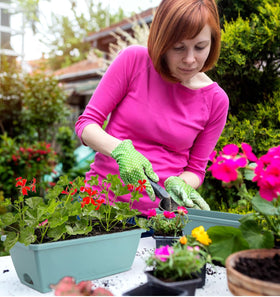 LOCONHA multipurpose planters ideal for windowsills and balconies.