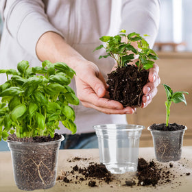 LOCONHA plant labels 40 help you track varieties and growth over time.