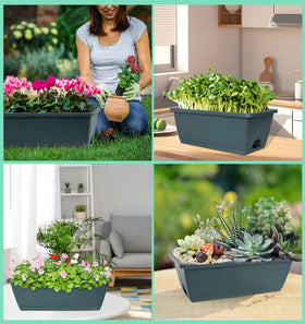 LOCONHA versatile planters suitable for herbs flowers and vegetables