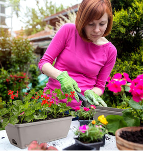 LOCONHA window box planter 7-pack with smooth surface that cleans quickly.
