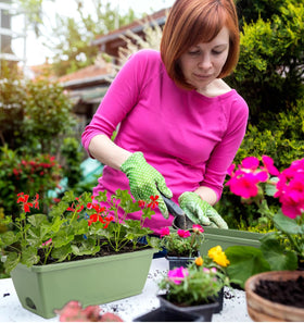 Loconha 7-pack window planters arranged with flowers and vegetables for a cohesive look.