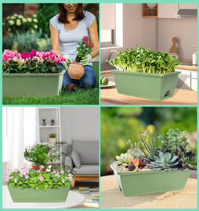 Loconha window box planters suitable for both indoor and outdoor settings