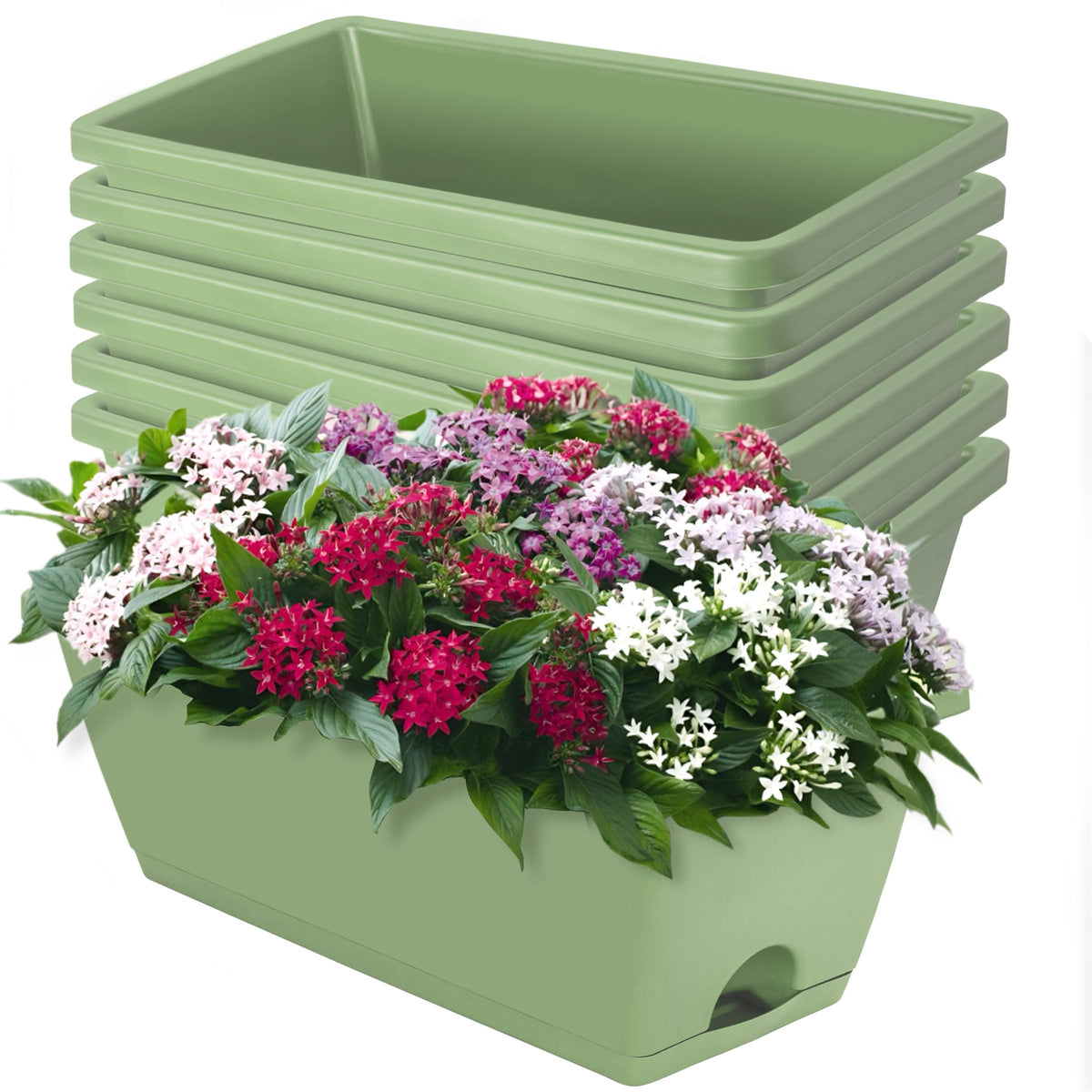 Loconha window box planter, rectangular 17-inch, with attached saucer for indoor and outdoor use.