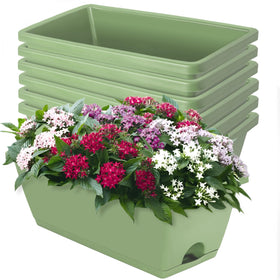 Loconha window box planter, rectangular 17-inch, with attached saucer for indoor and outdoor use.