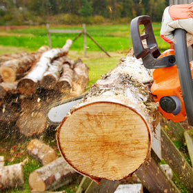 Loggers Art Gens 2 pack 16 inch chain in use during pruning and woodwork