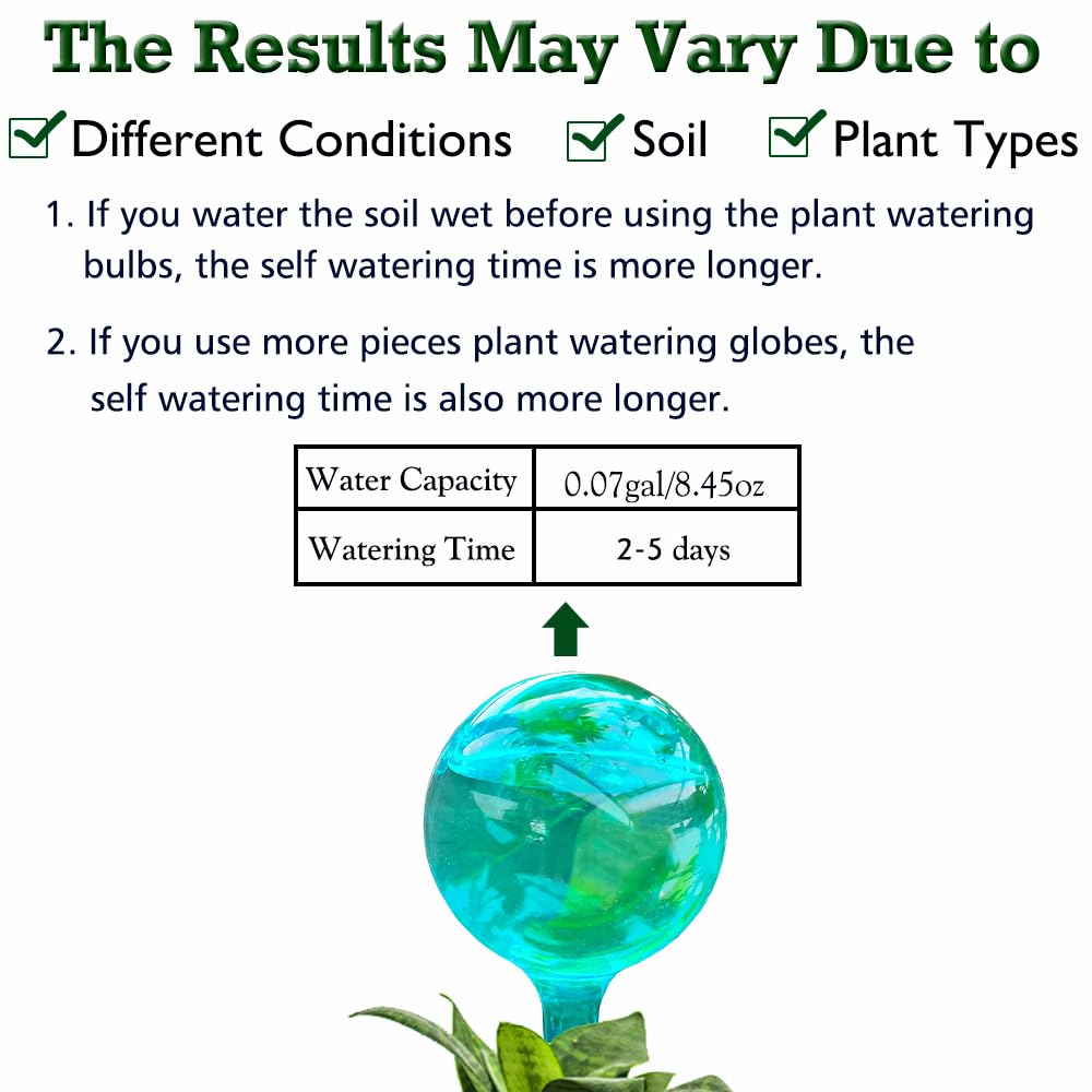 Logresy globes in hanging baskets for almost effortless plant care