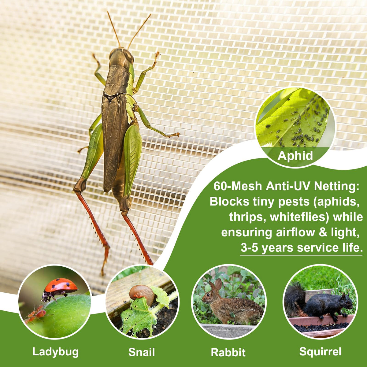 LOLEDE lightweight, reusable netting for seasonal garden protection.