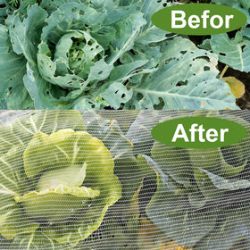 LOLEDE bed cover protects vegetables and fruit plants from pests.