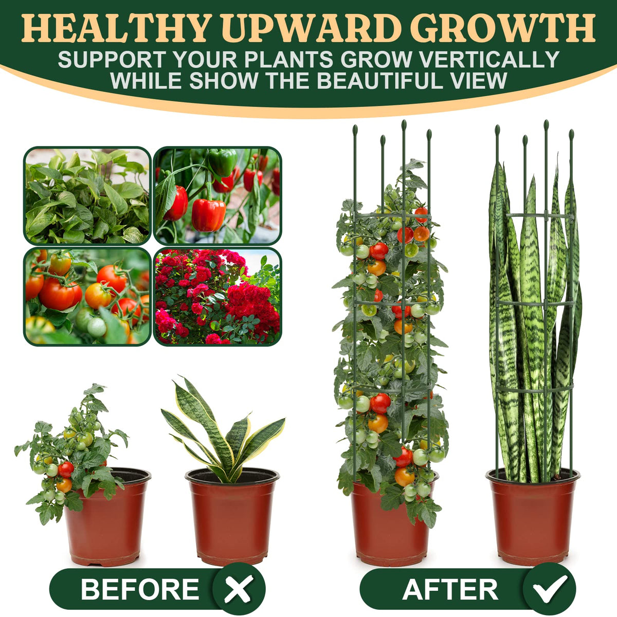 LOMNYIY rustproof garden support withstands windy outdoor conditions