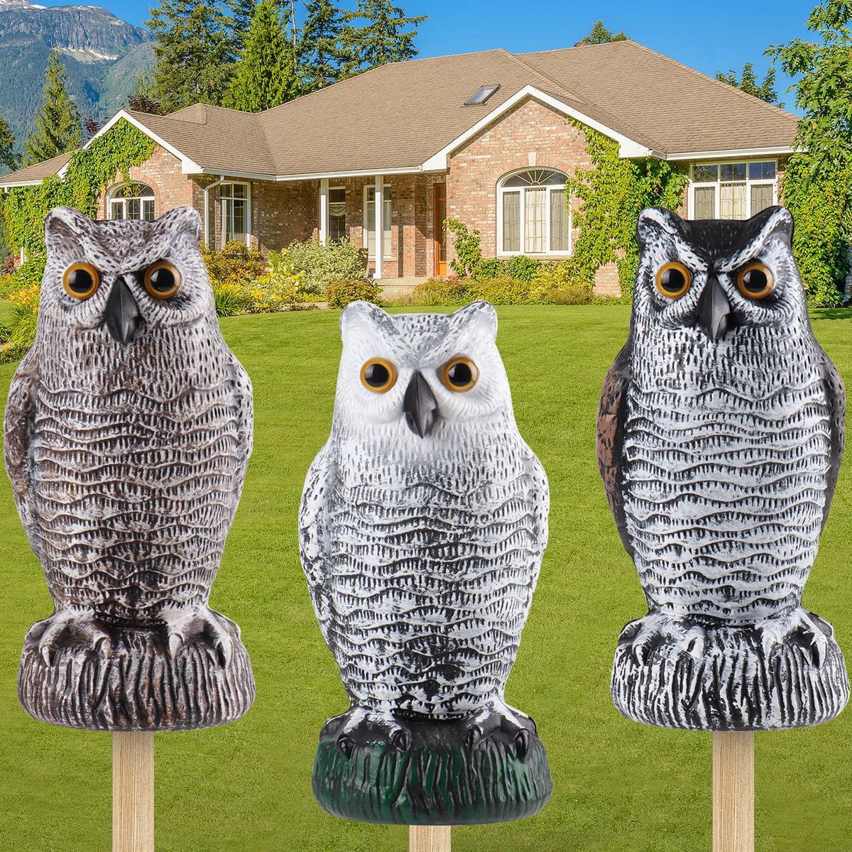 Lomrsiul fake owl decoy on porch deters birds naturally