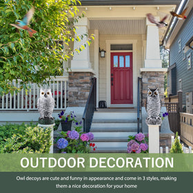 Lomrsiul orchard owl decor protects fruit trees from pests