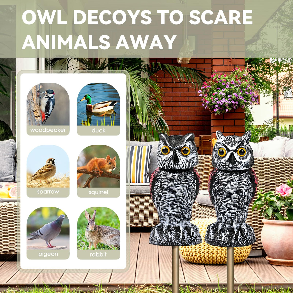 Close-up of Lomrsiul Owl Decoy eyes for a lifelike look