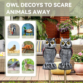 Close-up of Lomrsiul Owl Decoy eyes for a lifelike look