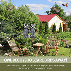 Base with wind catcher inside Lomrsiul Owl Decoy for rotation