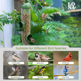 Backyard birds visiting LO NA LONA feeder for diverse seed types