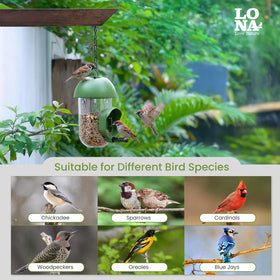 LO NA LOVE NATURE LONA attracts a variety of wild birds with seed compatibility.