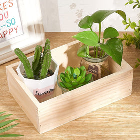 LONG TAO two-piece planter pack used as desk organizer and decor