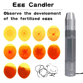 Longsen Egg Candler complete kit ready right out of the box for incubation.