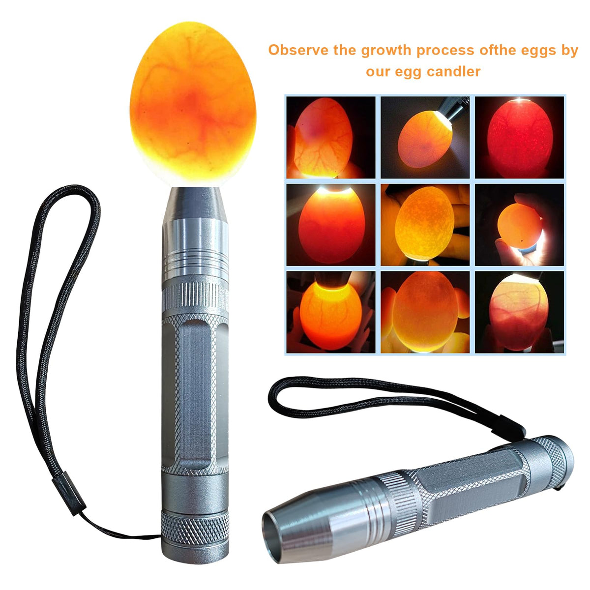 Longsen Egg Candler rechargeable portable design fits in a pocket for on-the-go candling.