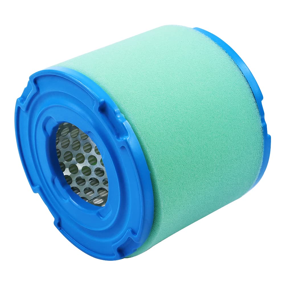 Lonsda air filter for Briggs 393957, front view shows fit and protection against dust