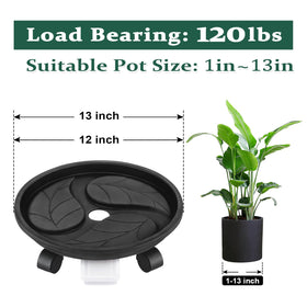 Looca rolling plant stand 13-inch diameter designed to fit most pots.