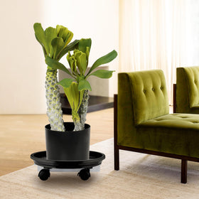 Looca round plant stand offers durable, rust-free mobility for indoor gardens.
