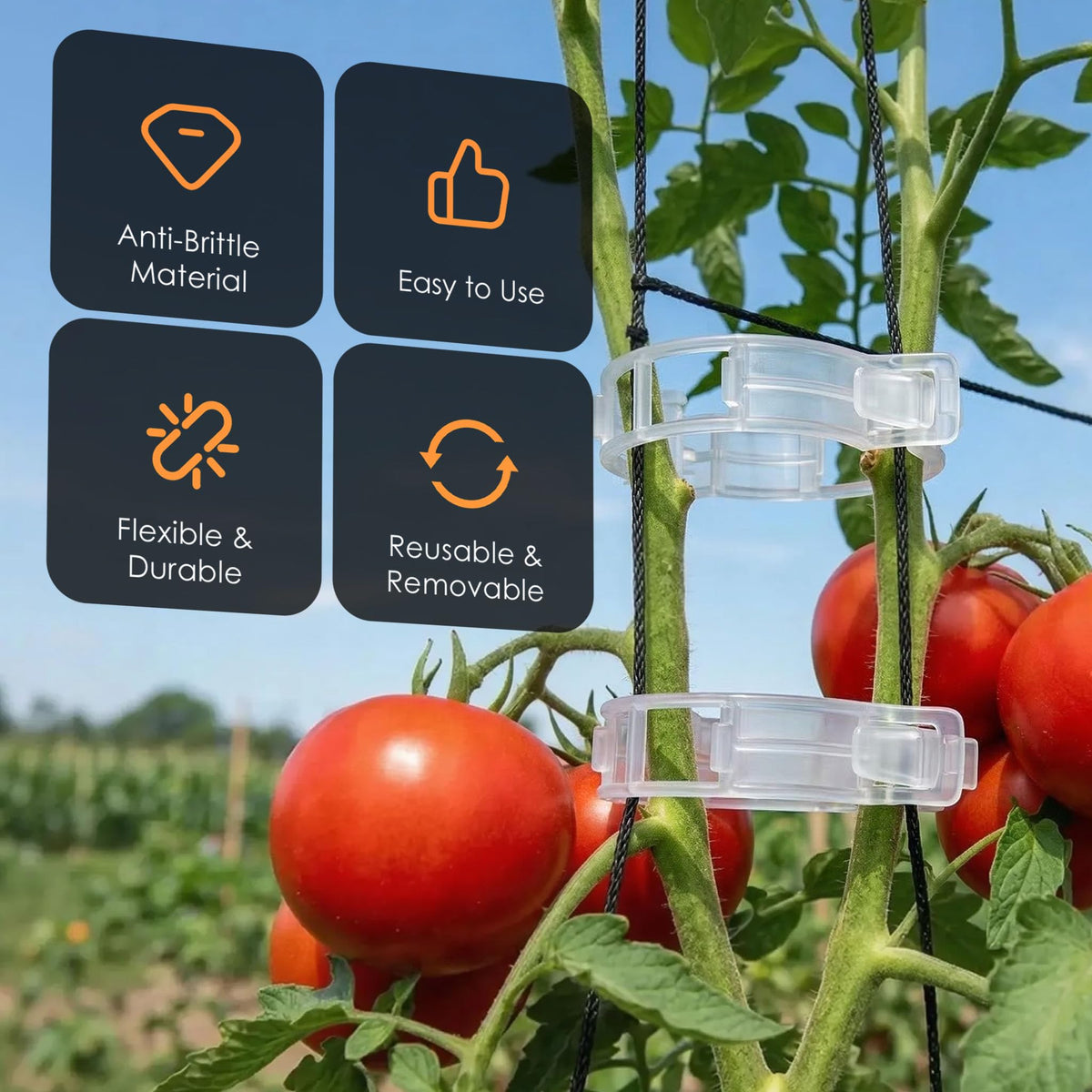 LOOHOI 100-piece plant clip set arrives ready for family gardens