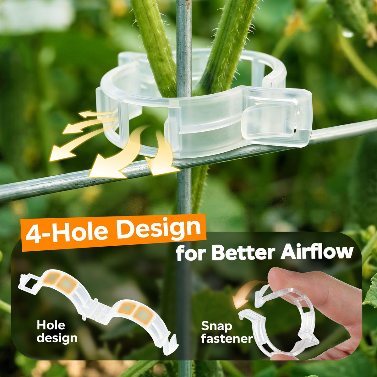 LOOHOI clips support up to 3 kg per clamp for sturdy vine training