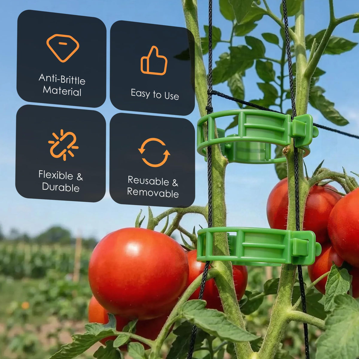 LOOHOI garden clips support vegetables and fruits for healthier growth.