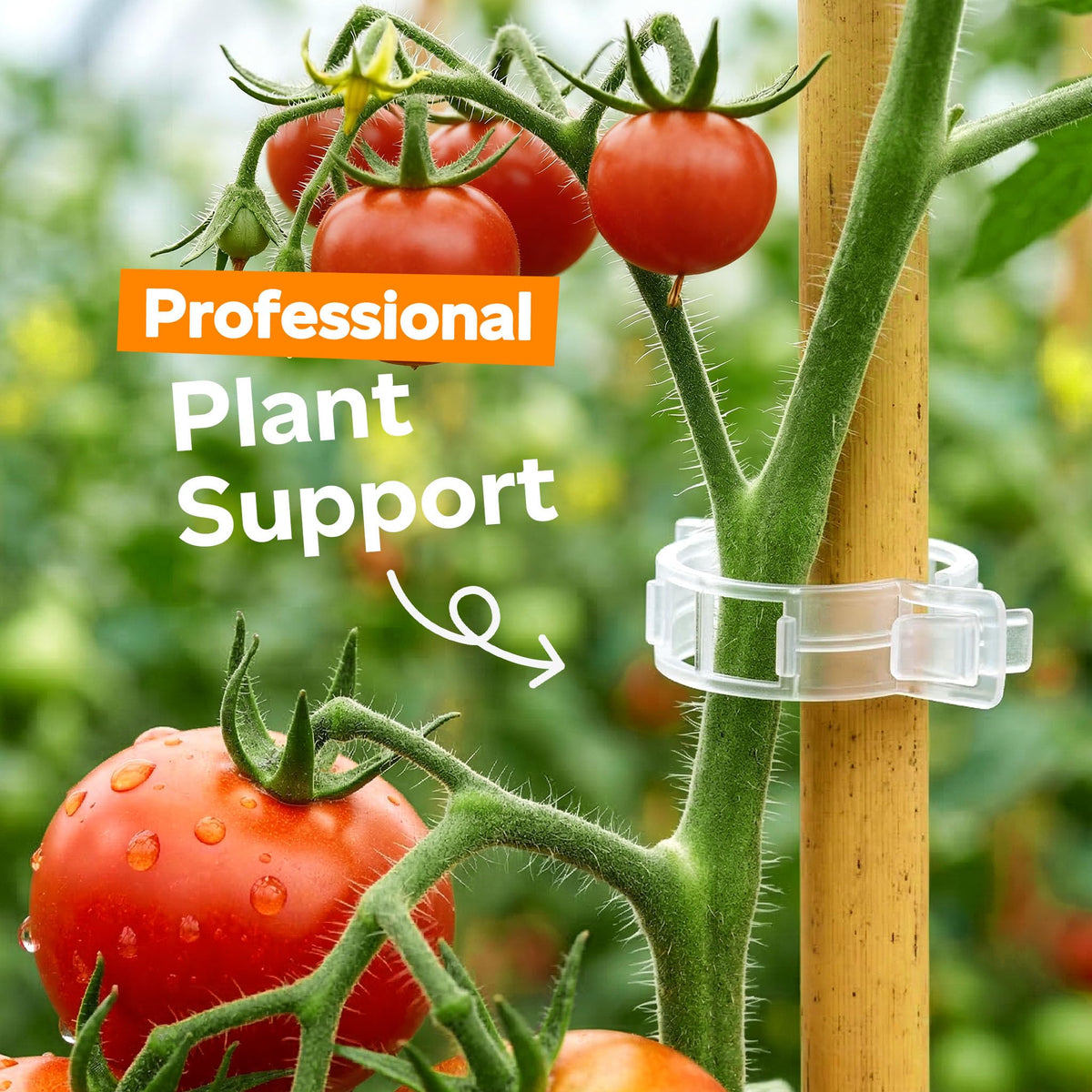 LOOHOI plant-support-clips wedge design protects tender stems while shaping climbing crops