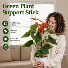 LOOHOI stackable monstera stake extension enables taller growth without replanting.