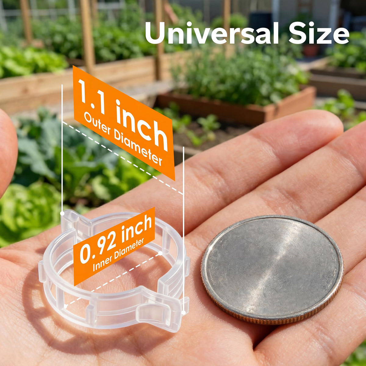 LOOHOI transparent PP plant clips provide durable and reusable support for vegetables like tomatoes