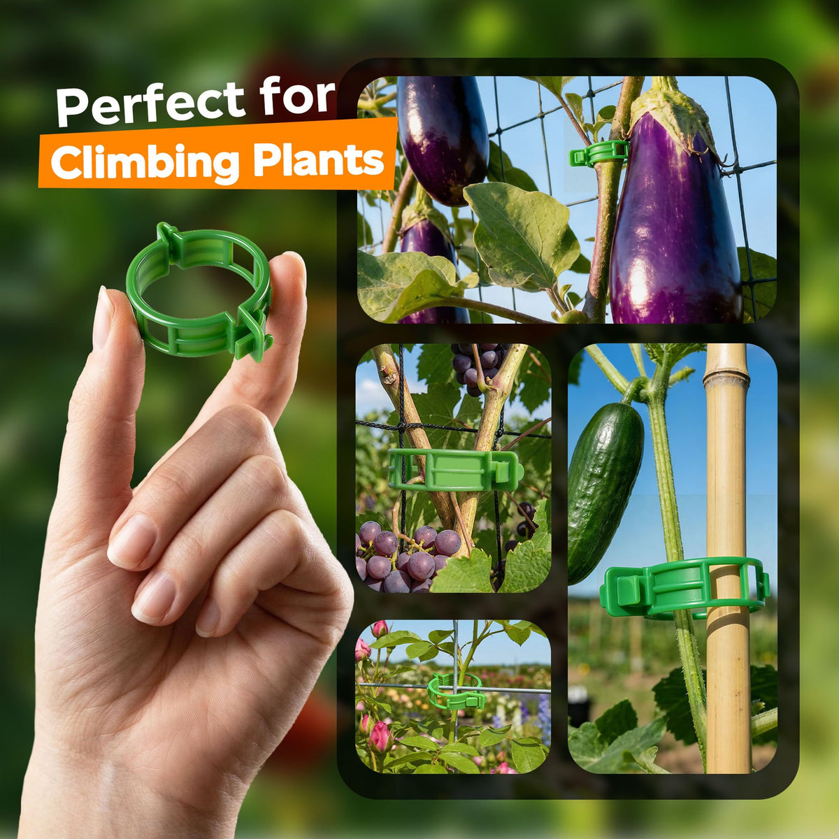 LOOHOI transparent PP clips resist aging, keeping vines tidy.