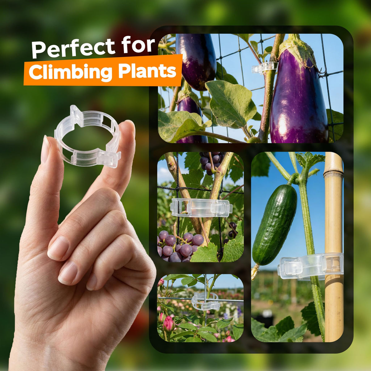 LOOHOI wedge design clips prevent stem damage while guiding fruit-bearing vines