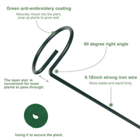 Loongesho 12-inch stake shows compact indoor plant support.