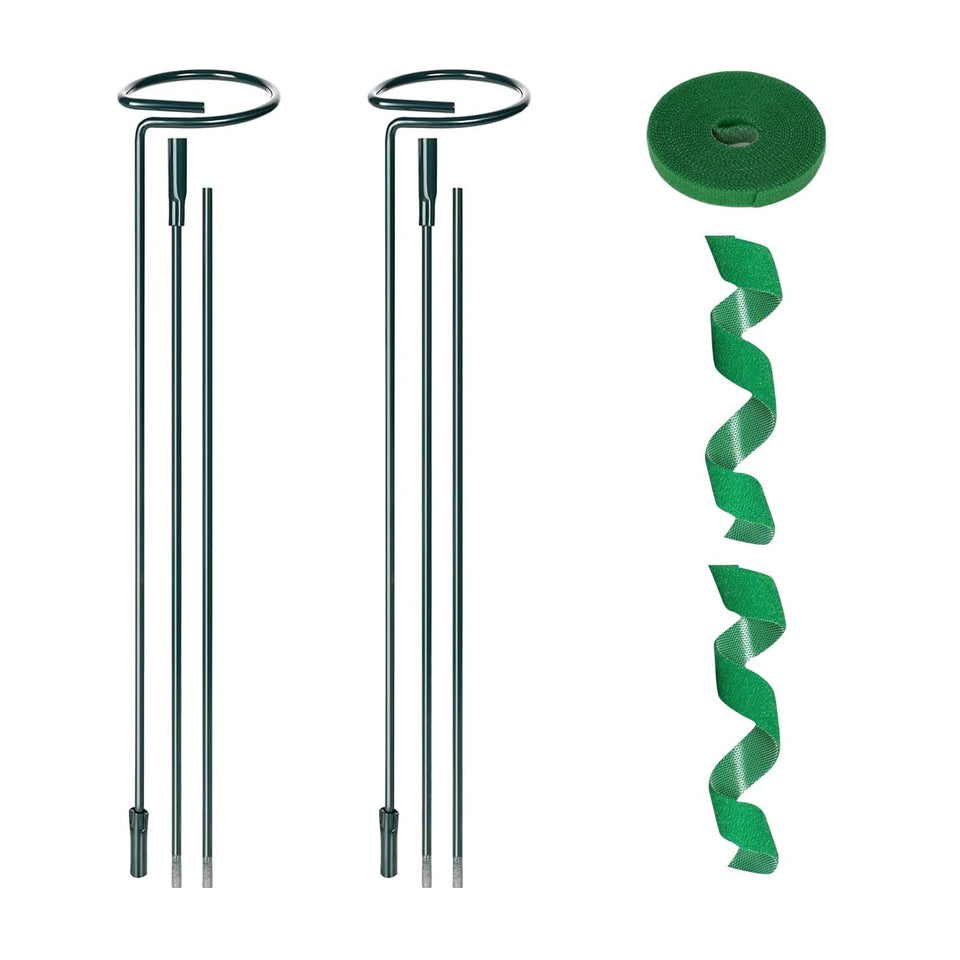 Loongesho plant support sticks in a 36-inch garden setup keeping vines upright.