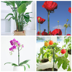 Loongesho plant-ties included, 10 ft long for easy securing.