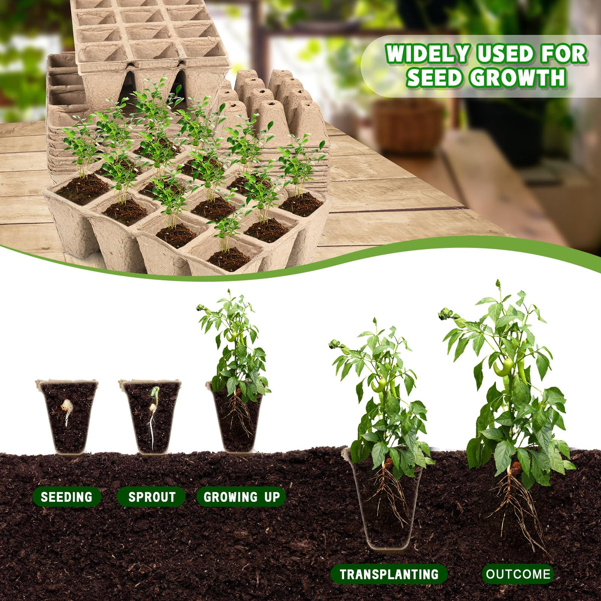 Loongesho 20 plant labels to track seed varieties and dates