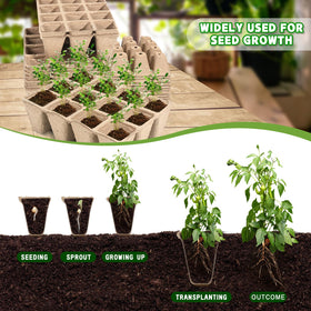 Loongesho 20 plant labels to track seed varieties and dates