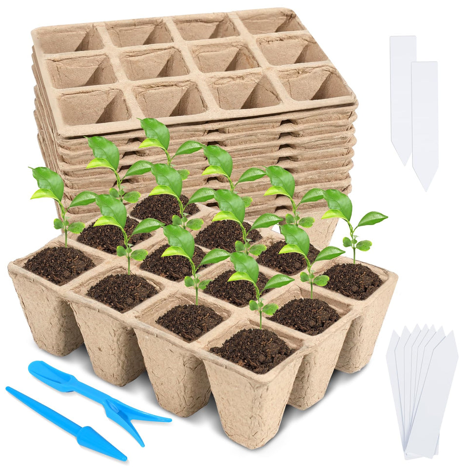 Loongesho seedling trays with 12 cells for compact indoor germination