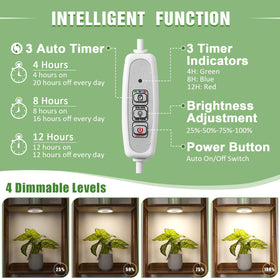 LORDEM auto timer 4/8/12 hours simplifies plant lighting schedules.