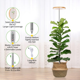 LORDEM Bamboo Grow Light auto timer saves daily setup while maintaining consistent cycles