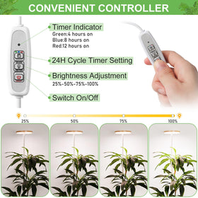 LORDEM Bamboo Grow Light dimming levels offer flexible brightness for different growth stages