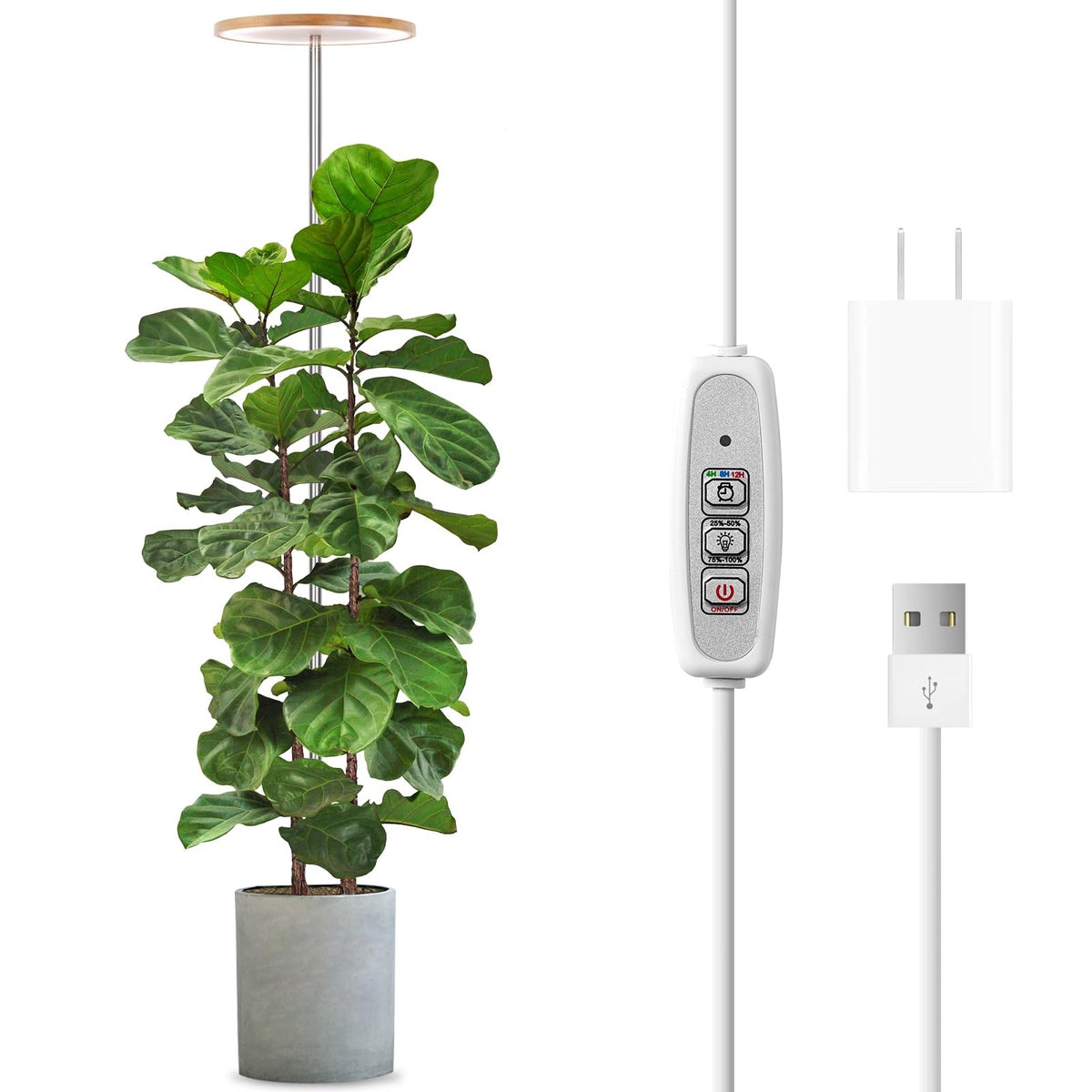 LORDEM Bamboo Grow Light full-spectrum panel illuminates indoor garden for robust growth.