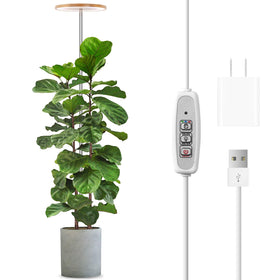 LORDEM Bamboo Grow Light full-spectrum panel illuminates indoor garden for robust growth.